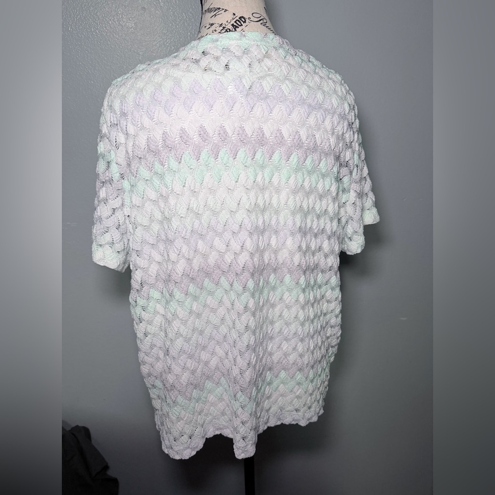 Alfred Dunner Pastel Lace Overlay Blouse – Petite Large - Picture 5 of 7